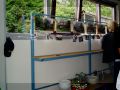 straatfeest Wollefoppers 24-8-03 014