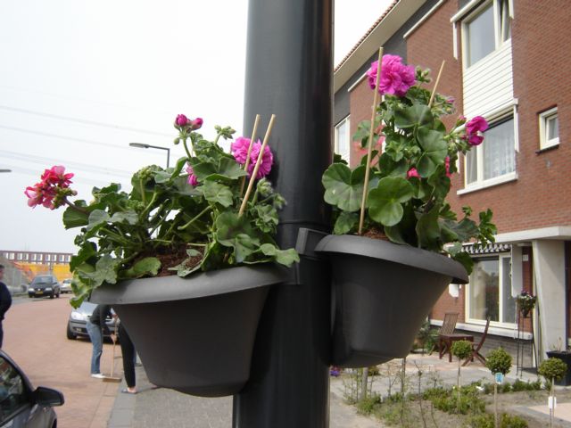 klik op de foto voor een grotere weergave