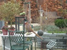Bewoners-12-2009-M3