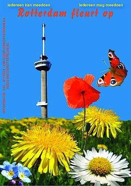 flyer-Rotterdam-fleurt-op-260x368