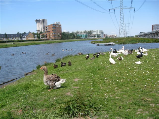 ganzen-rietveldpark