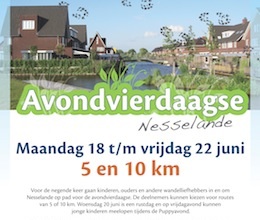 120618-avondvierdaagse-poster-260x220