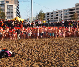 2011 Nieuwjaarsduik